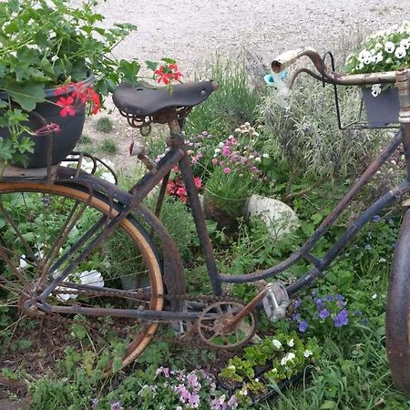 مبيت وإفطار Morestel Basse-Cour De Montin Au 256 Chemin De La Rocaille A 38510 Vezeronce Curtin المظهر الخارجي الصورة