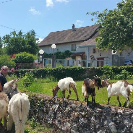 مبيت وإفطار Morestel Basse-Cour De Montin Au 256 Chemin De La Rocaille A 38510 Vezeronce Curtin المظهر الخارجي الصورة
