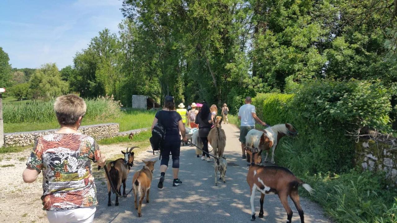 مبيت وإفطار Morestel Basse-Cour De Montin Au 256 Chemin De La Rocaille A 38510 Vezeronce Curtin المظهر الخارجي الصورة